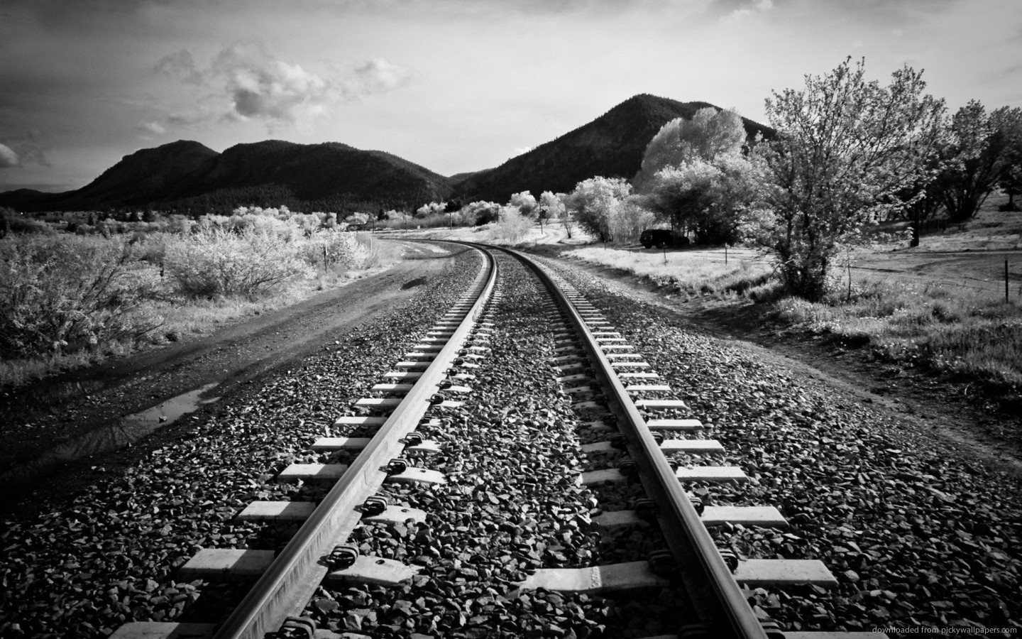 Download 1440x900 Monochrome Railroad Tracks Wallpaper