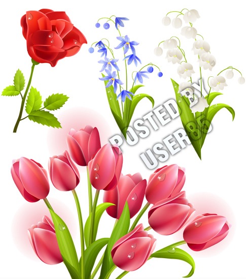 spring clip art free download - photo #49