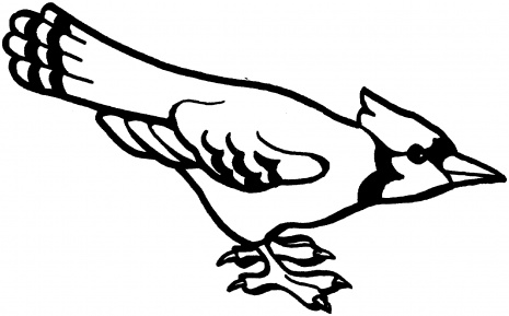 Blue-jay-coloring-page-16 | Free Coloring Page Site