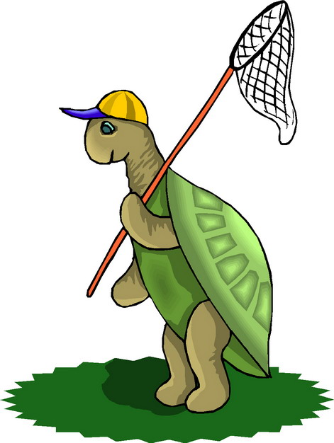 Funny Turtles Cartoon Animals Wallpaper Murals for Preschool 