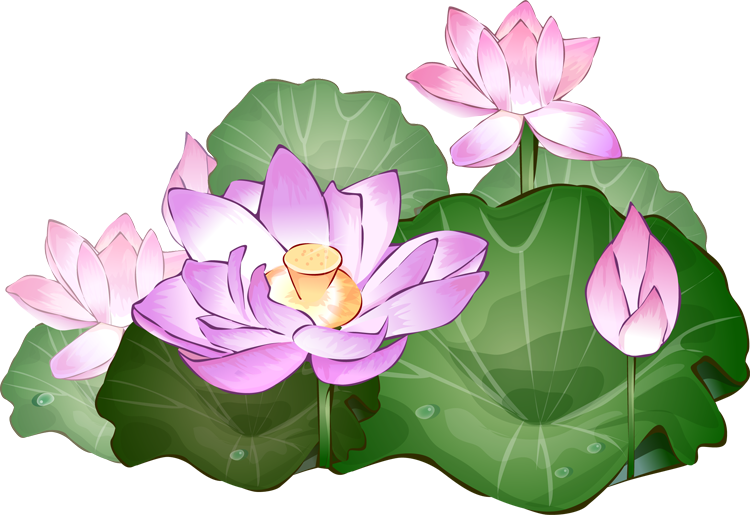 free clip art lotus flower - photo #26