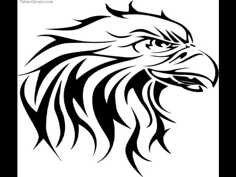 Eagle Tattoos Fantastic Tattoo Designs Amp Ideas Picture #