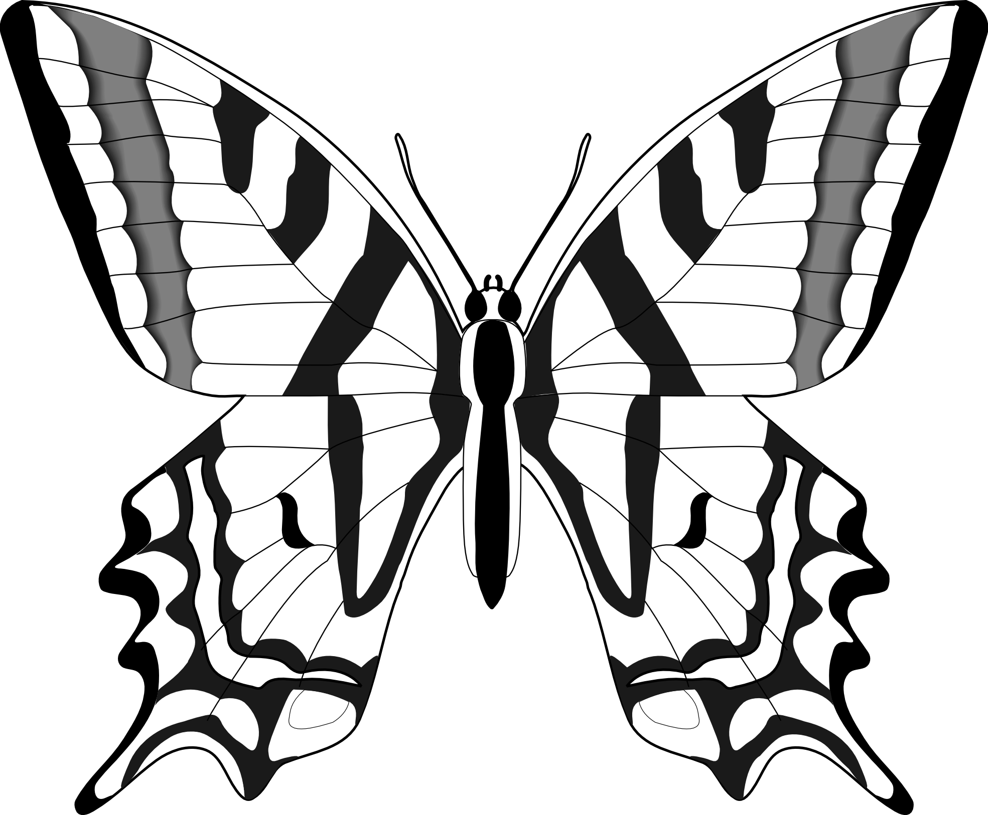 butterfly 55 black white line art SVG - Clipart library - Clipart library