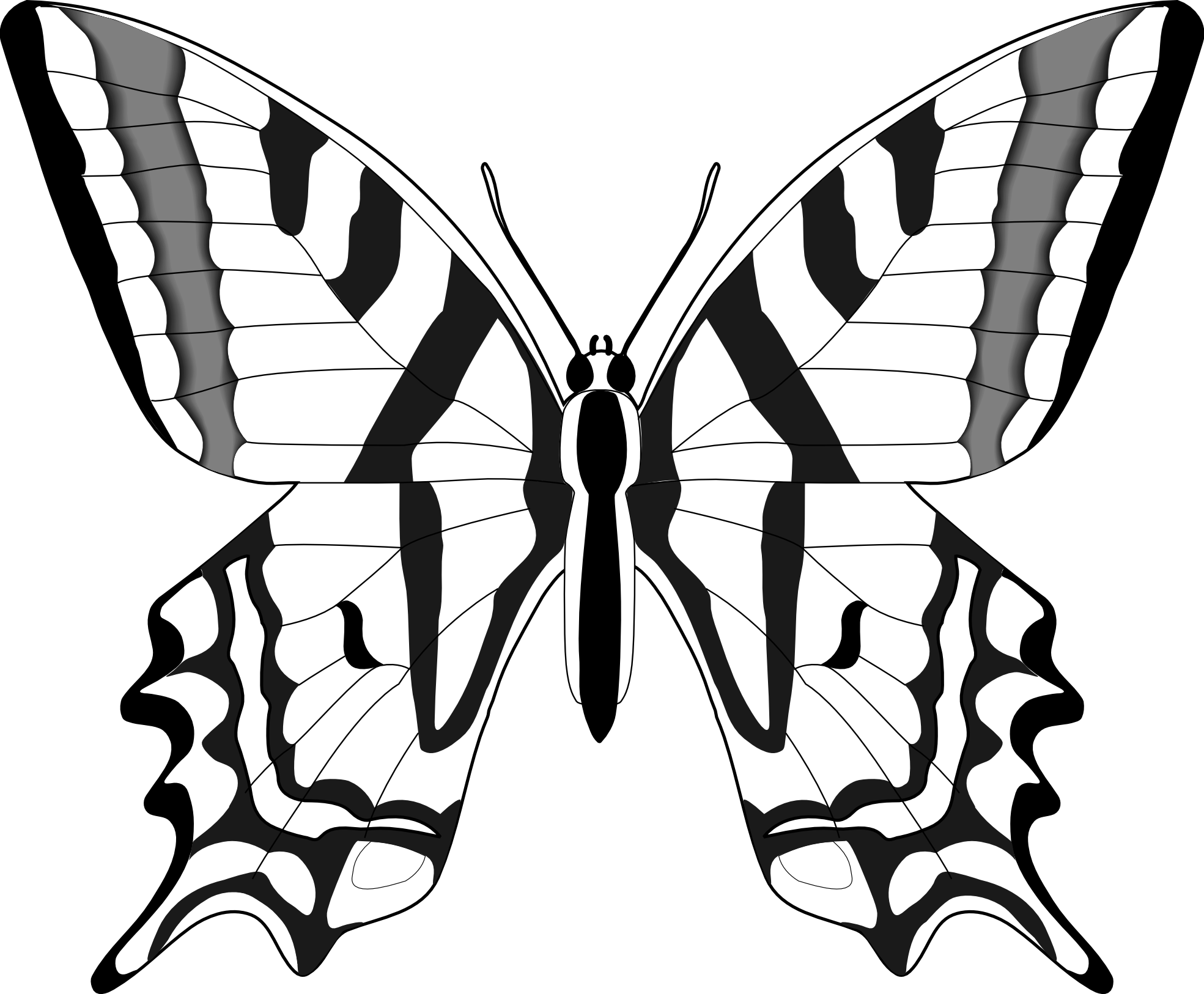 black and white flying butterfly clipart