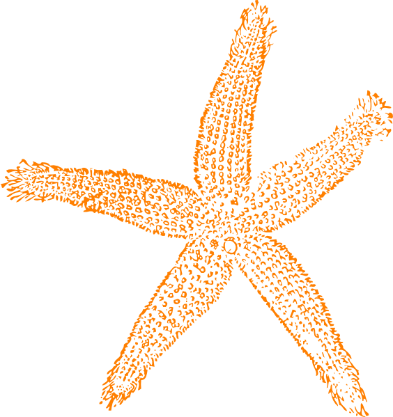 Single Starfish Orange clip art - vector clip art online, royalty 