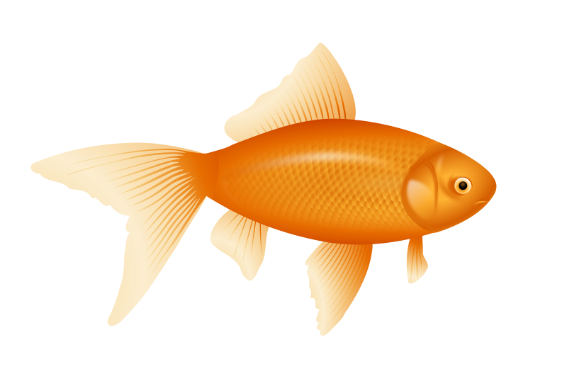 goldfish food clipart free