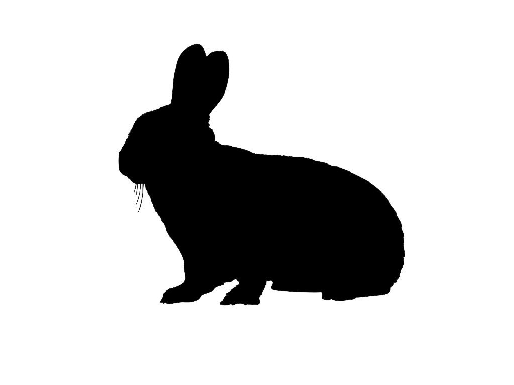 Rabbit Silhouette - Clipart library