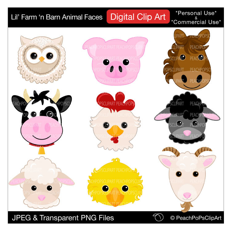 Popular items for barn animals 