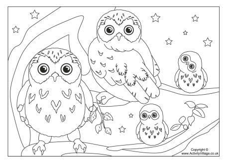 Printable Bird Colouring Pages for Kids - Clip Art Library