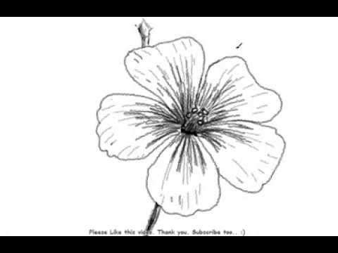 Featured image of post Pictures Of Flowers To Draw That Are Easy / New drawing disney sketches pictures 67+ ideas #drawing.