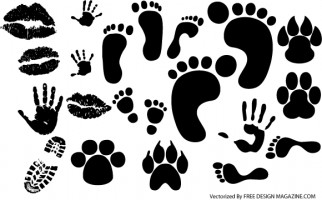 Animal footprints vector Free vector for free download about (11 