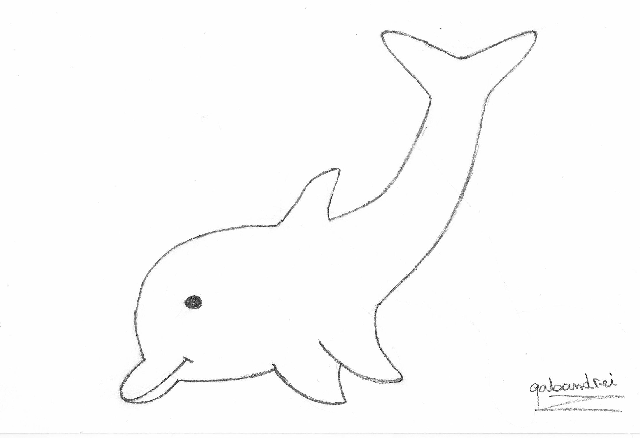 A Playful Dolphin - Dolphinspedia