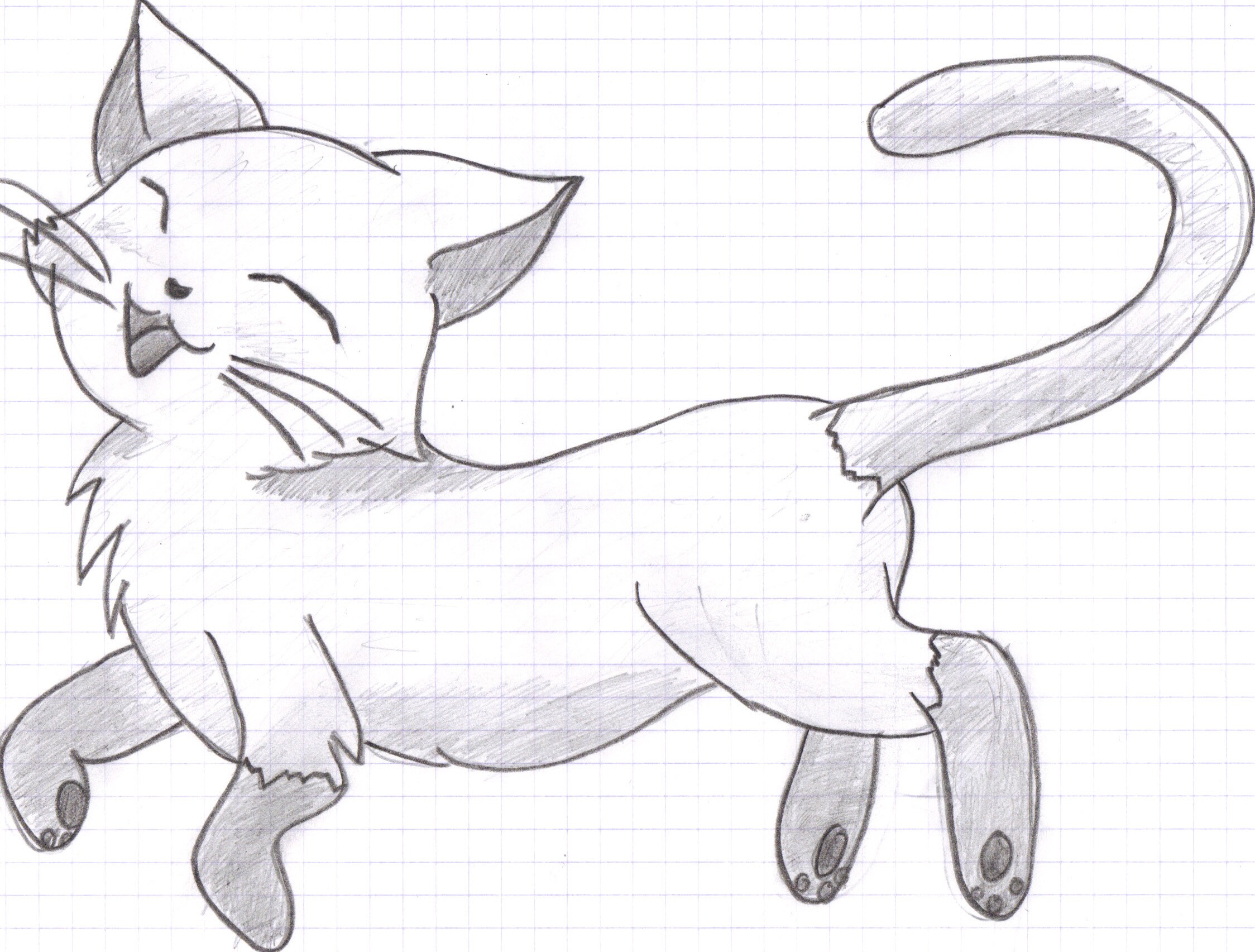 easy drawings of cute kittens