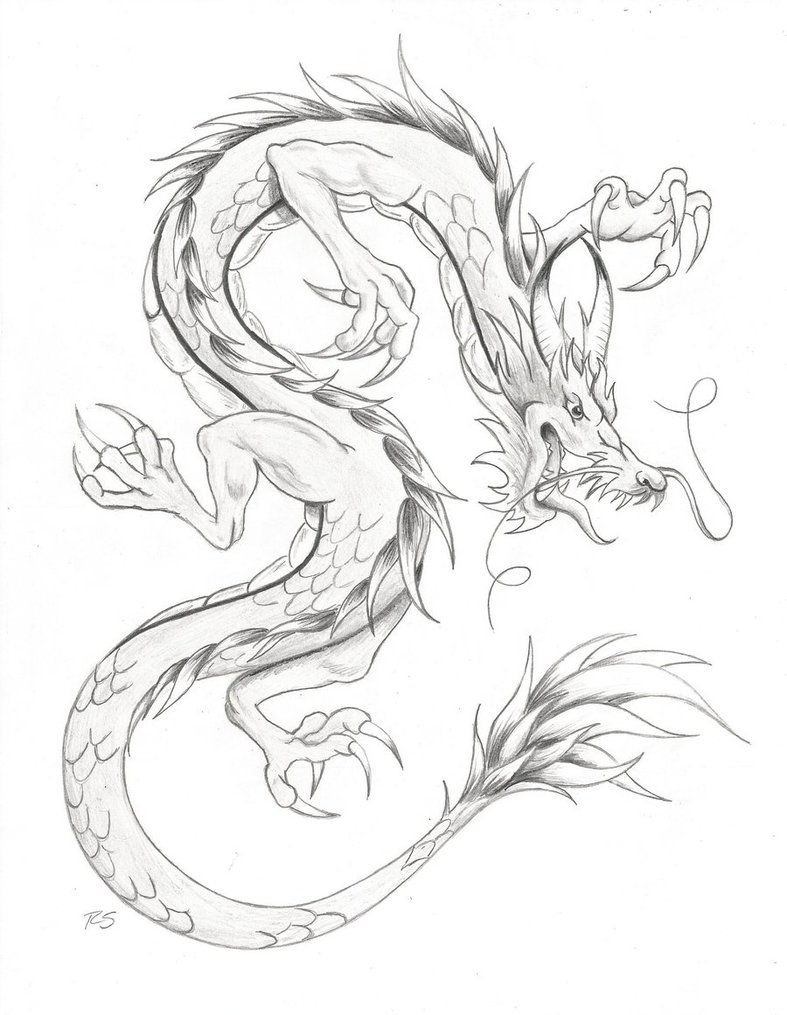 Featured image of post Simple Dragon Sketches In Pencil To create a simple outline i opted for the monoline brush in the calligraphy section