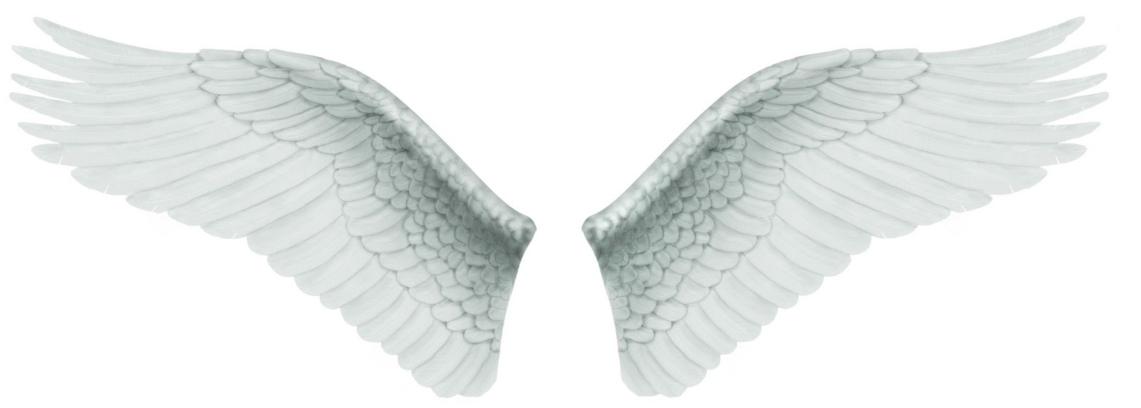 Psd Files Free Download: Angel wings,angel wing tattoos,angel wing 