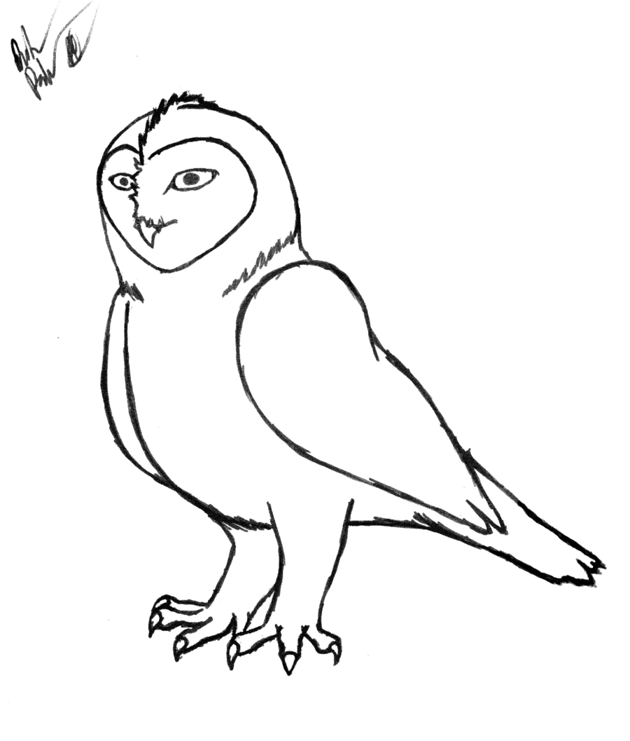Free Line Drawing Of Animals, Download Free Line Drawing Of Animals png