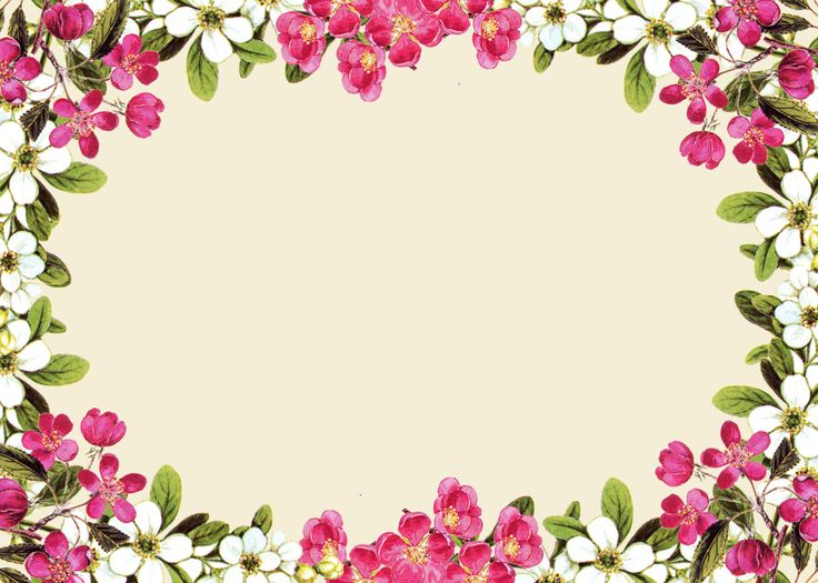 pink floral borders | free digital flower frame png and flower 