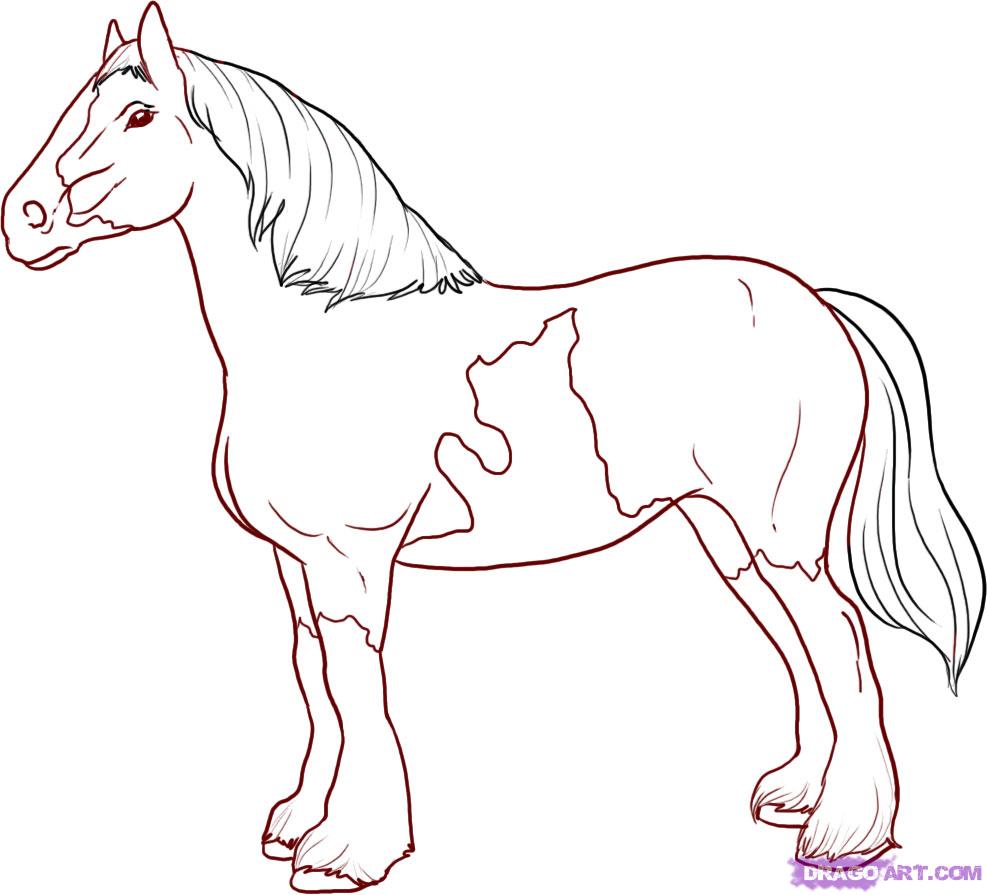 How to Draw a Horse, Step by Step, Farm animals, Animals, FREE 