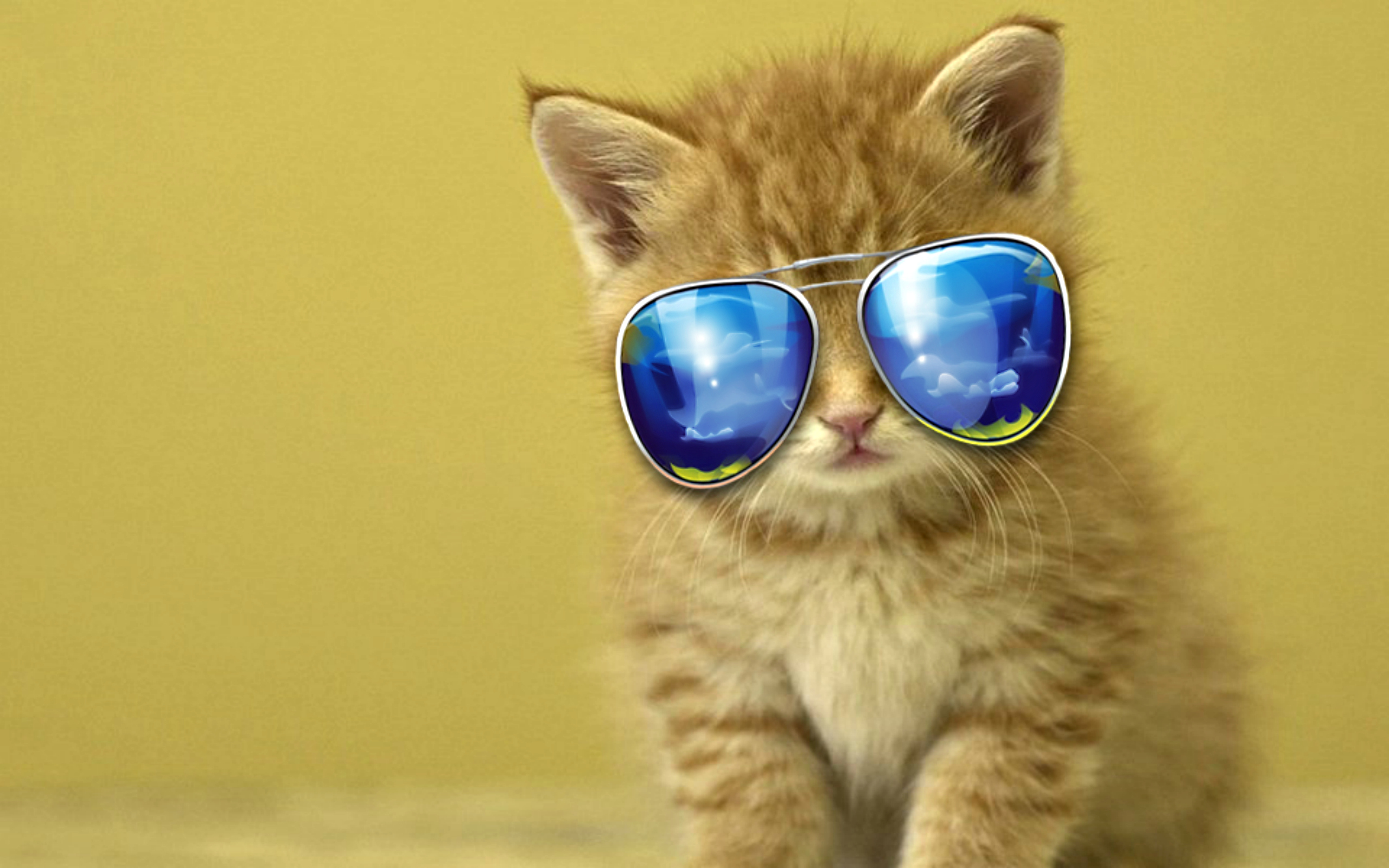 clip art cool cat - photo #34