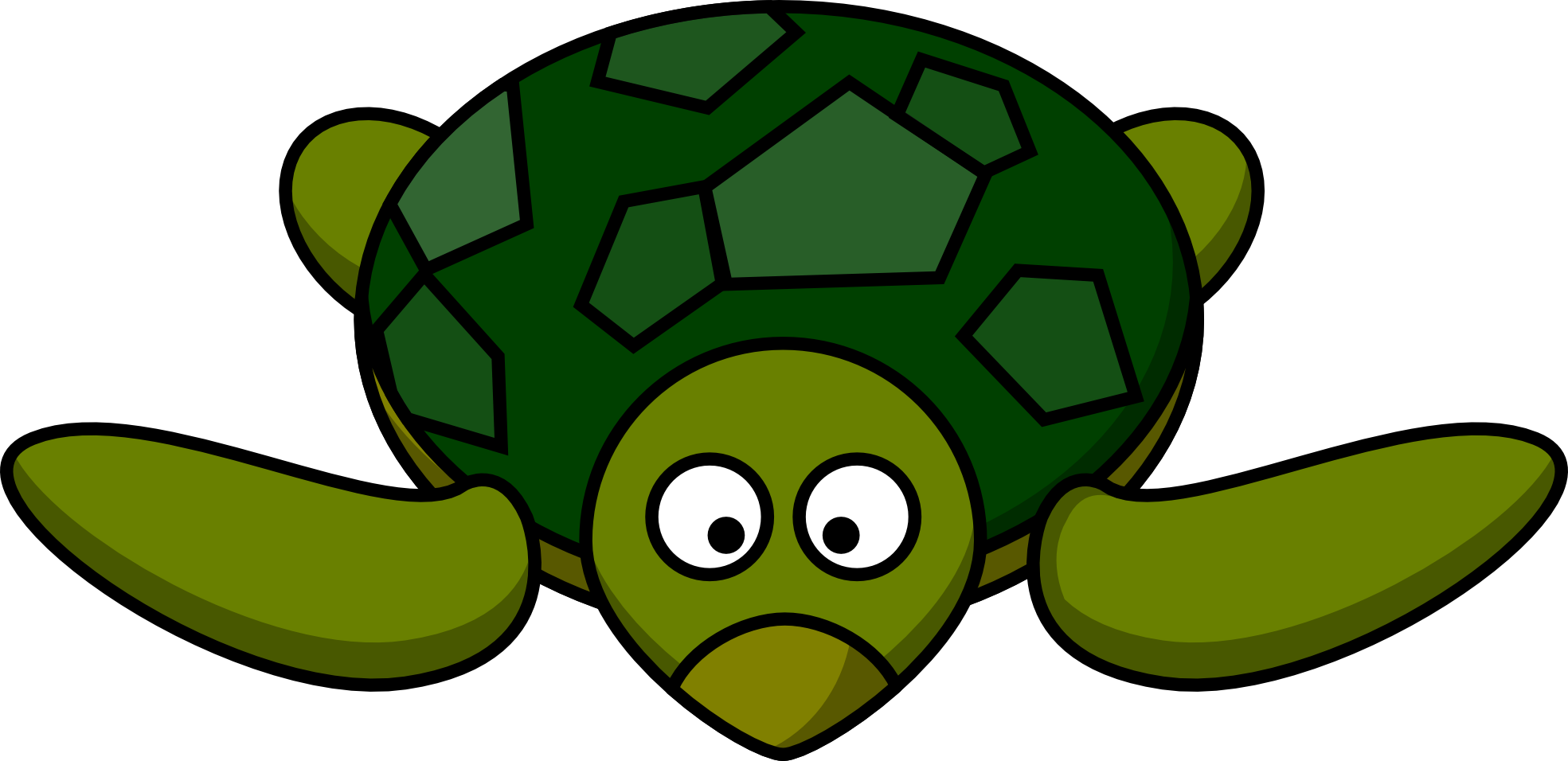 Cartoon Turtle Picture - Clipart library