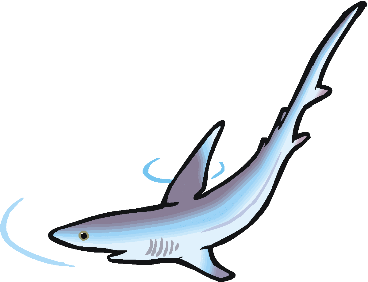 Images For  Shark Clip Art
