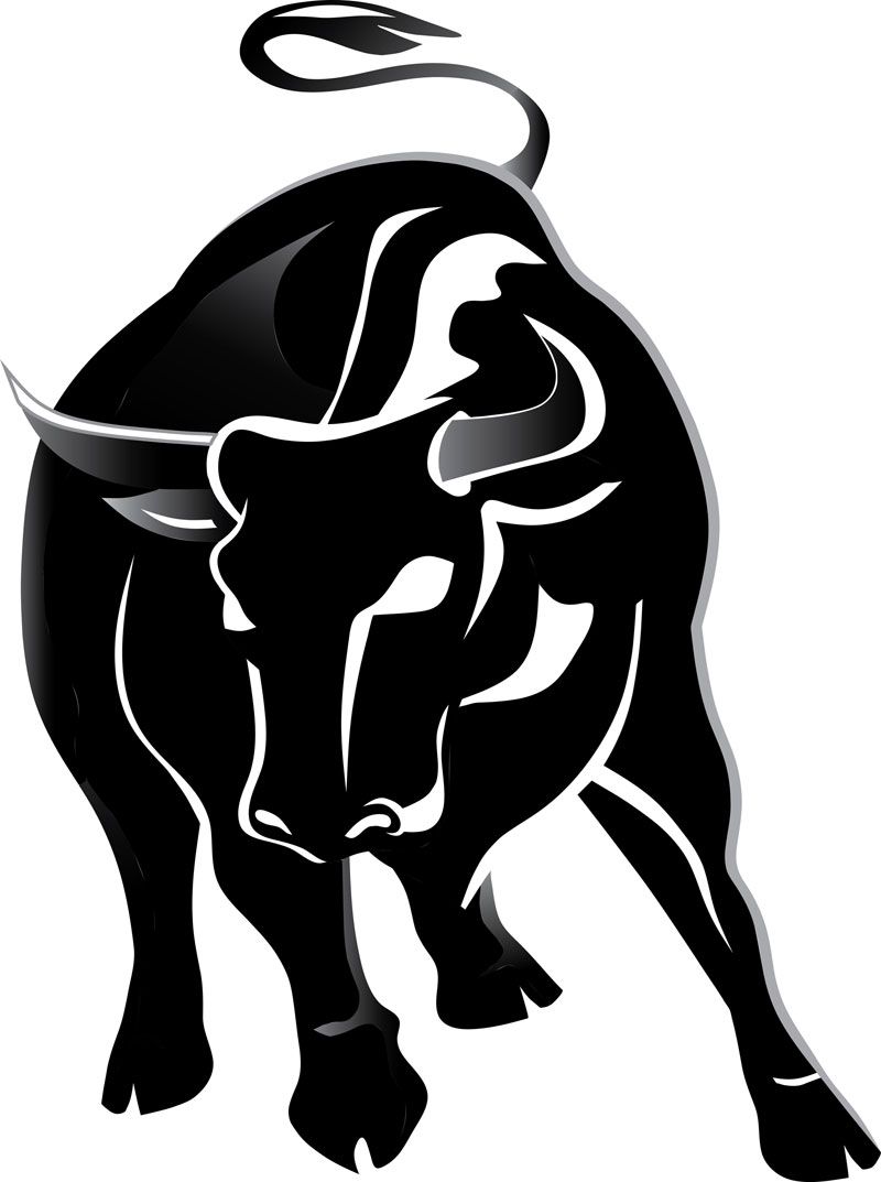 Image Of Bull - Clipart library