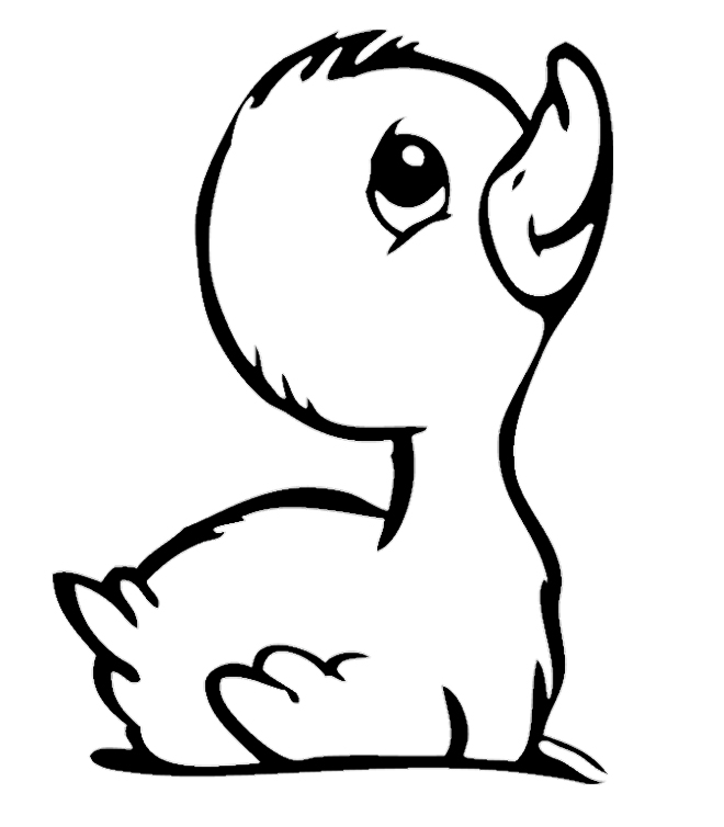 Baby-Duckling-Coloring-Pages