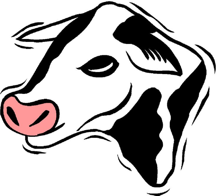 animated/cows - Google Search | Animated Cows | Clipart library
