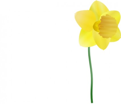 Daffodil clip art Vector clip art - Free vector for free download