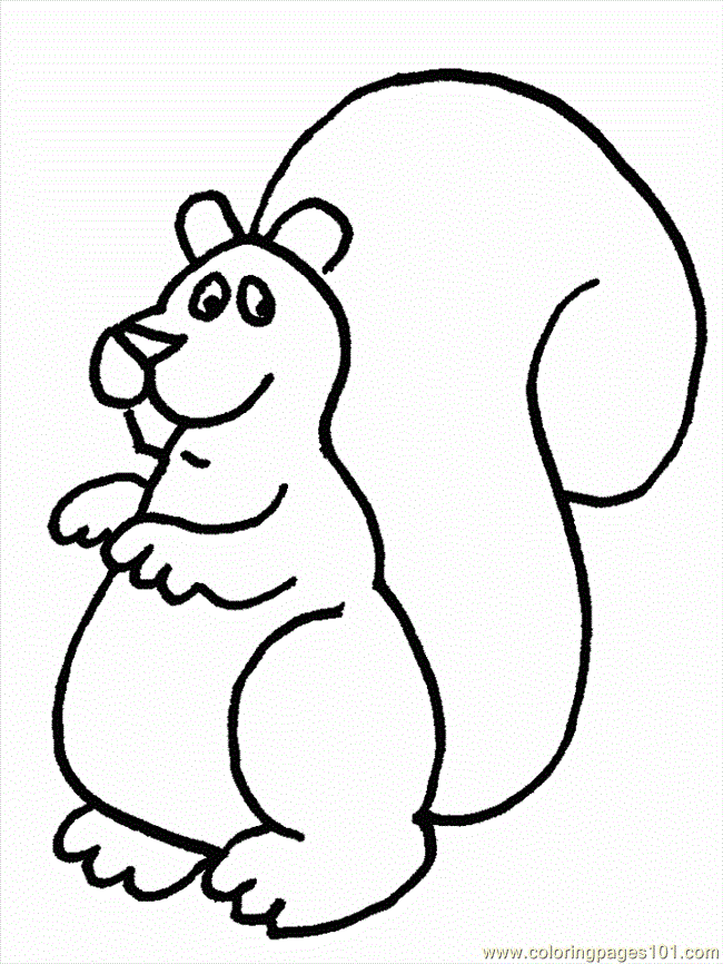 Squirrel With Acorn Coloring Page | Clipart library - Free Clipart 