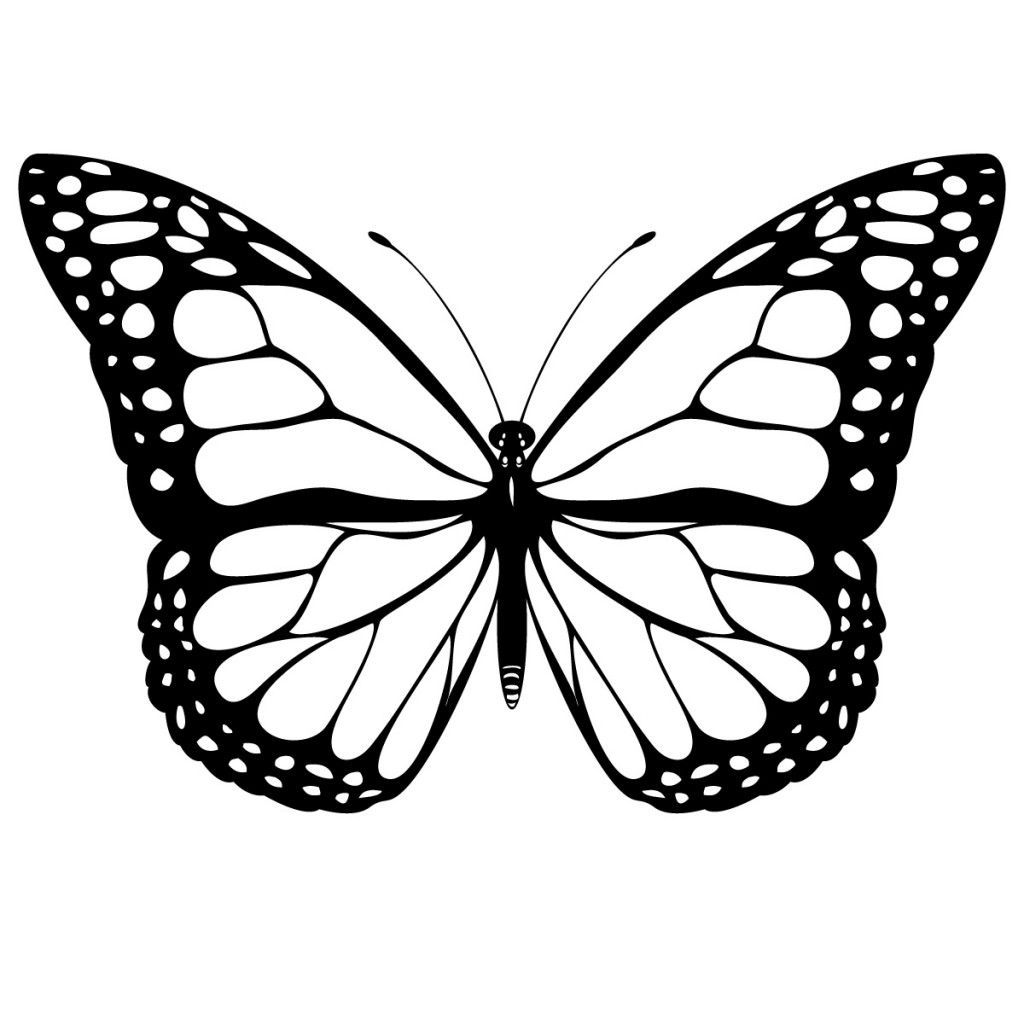 Free Realistic Butterfly Download Free Clip Art Free Clip Art On Clipart Library How to draw a butterfly step by step: clipart library