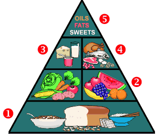 Department of Food and Nutrition- Food Guide Pyramid