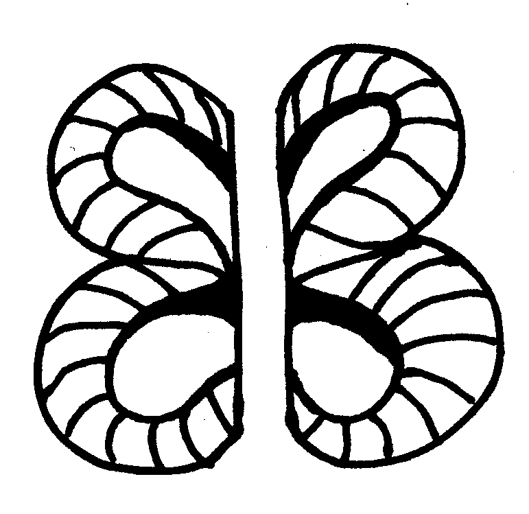 Butterfly Drawing Outline