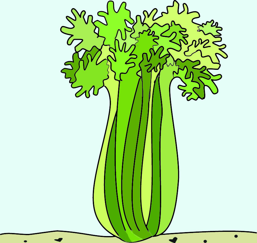 Featured image of post Animated Clipart Celery Animated gifs designed for presentations in powerpoint keynote and google slides