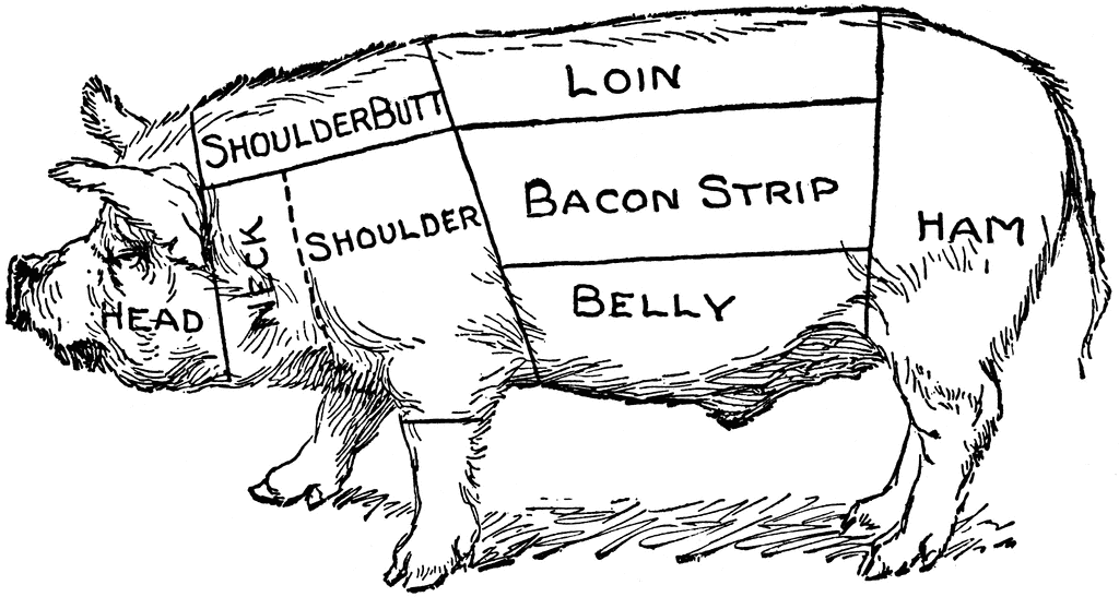 Pig Diagram | ClipArt ETC