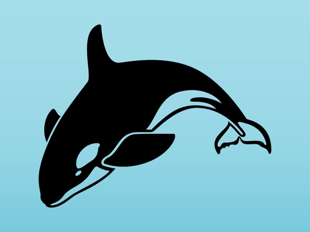 Free Whale vector Vectors
