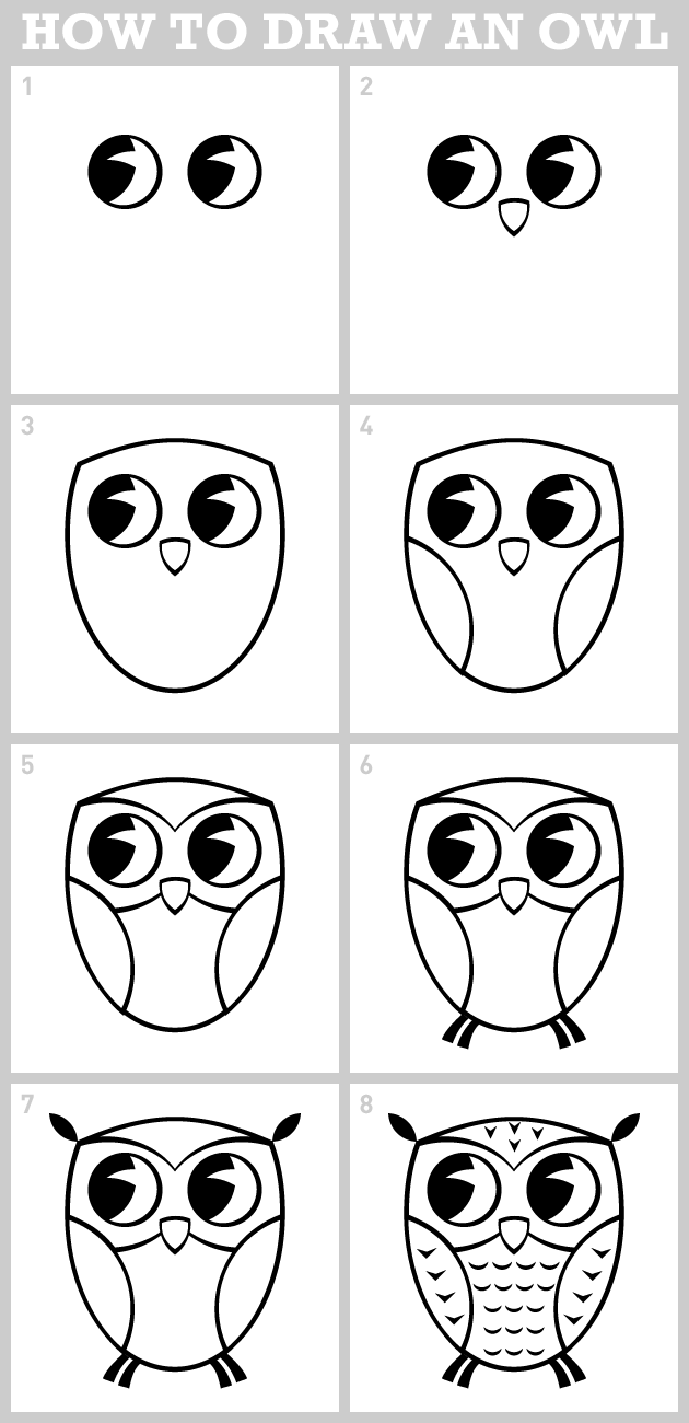 Featured image of post Pictures Of Cartoon Owls To Draw Find 10 differences between pictures of owl puzzle