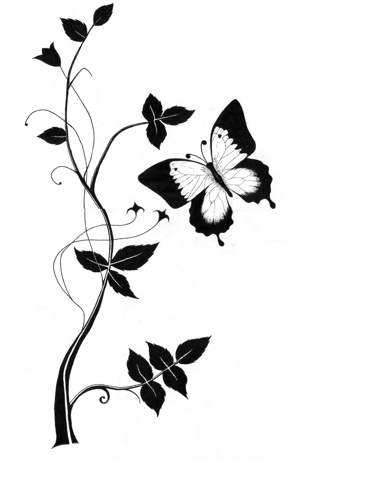 Featured image of post Butterfly Sketch Easy