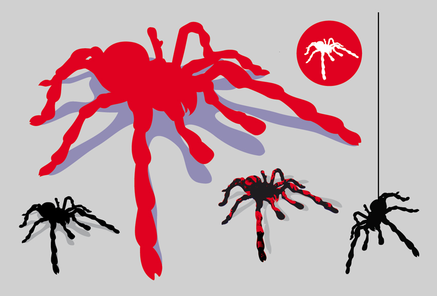 Scary Spider Vector Graphics