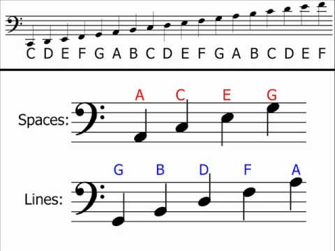 Music Theory - Bass Clef (Understanding  Identifying Notes) - YouTube