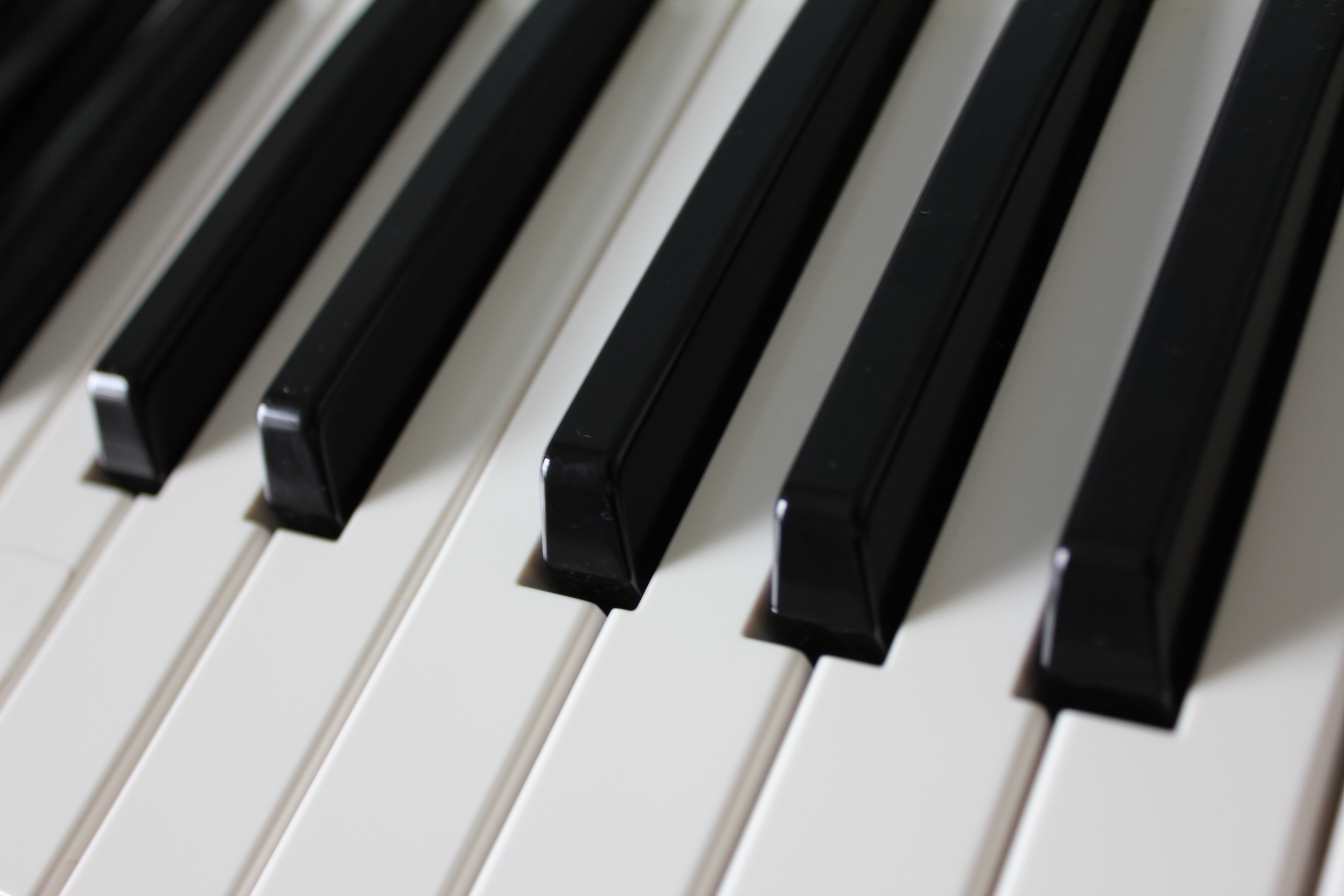 Piano Keys | Jewish Community Center of Greater Washington