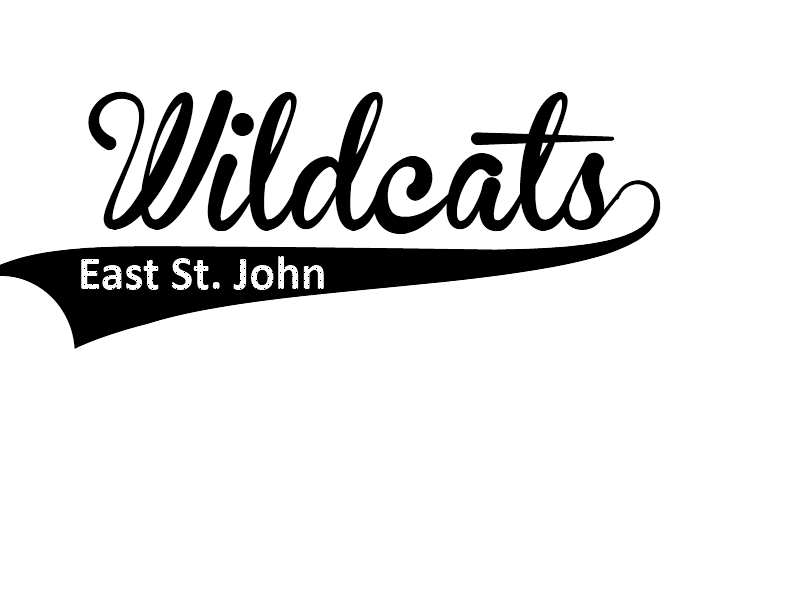 Wildcats image - vector clip art online, royalty free  public domain