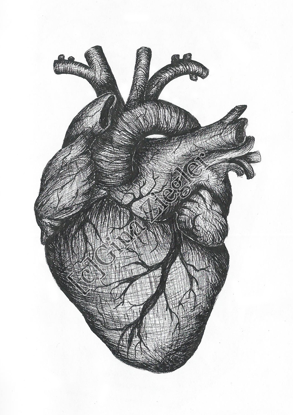 realistic heart drawings tumblr