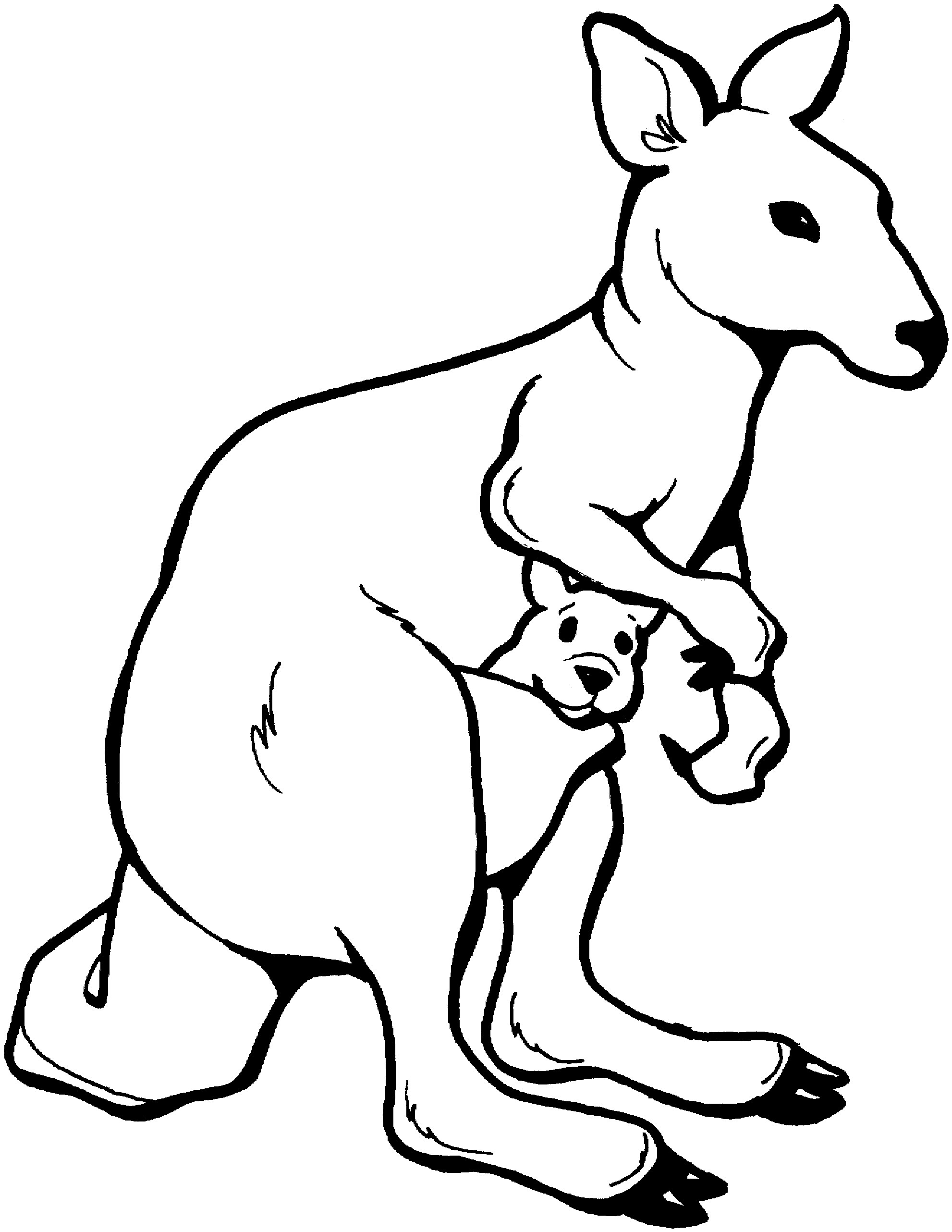 Kangaroo Coloring Pages | Clipart library - Free Clipart Images