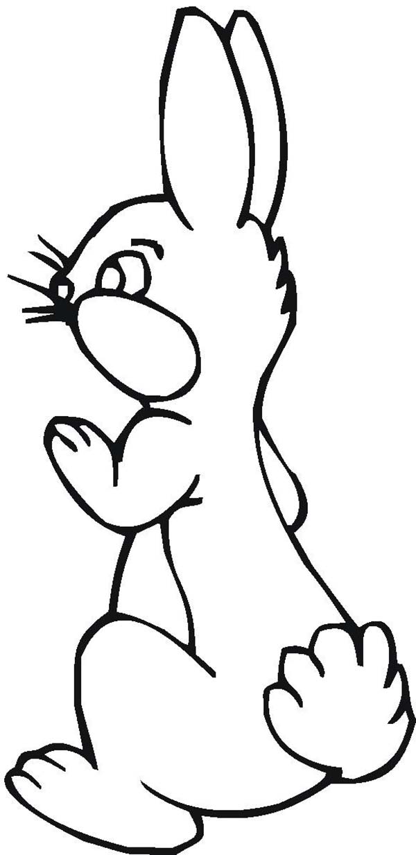 Kids Drawing of Bunny from the Back Coloring Page - Download 