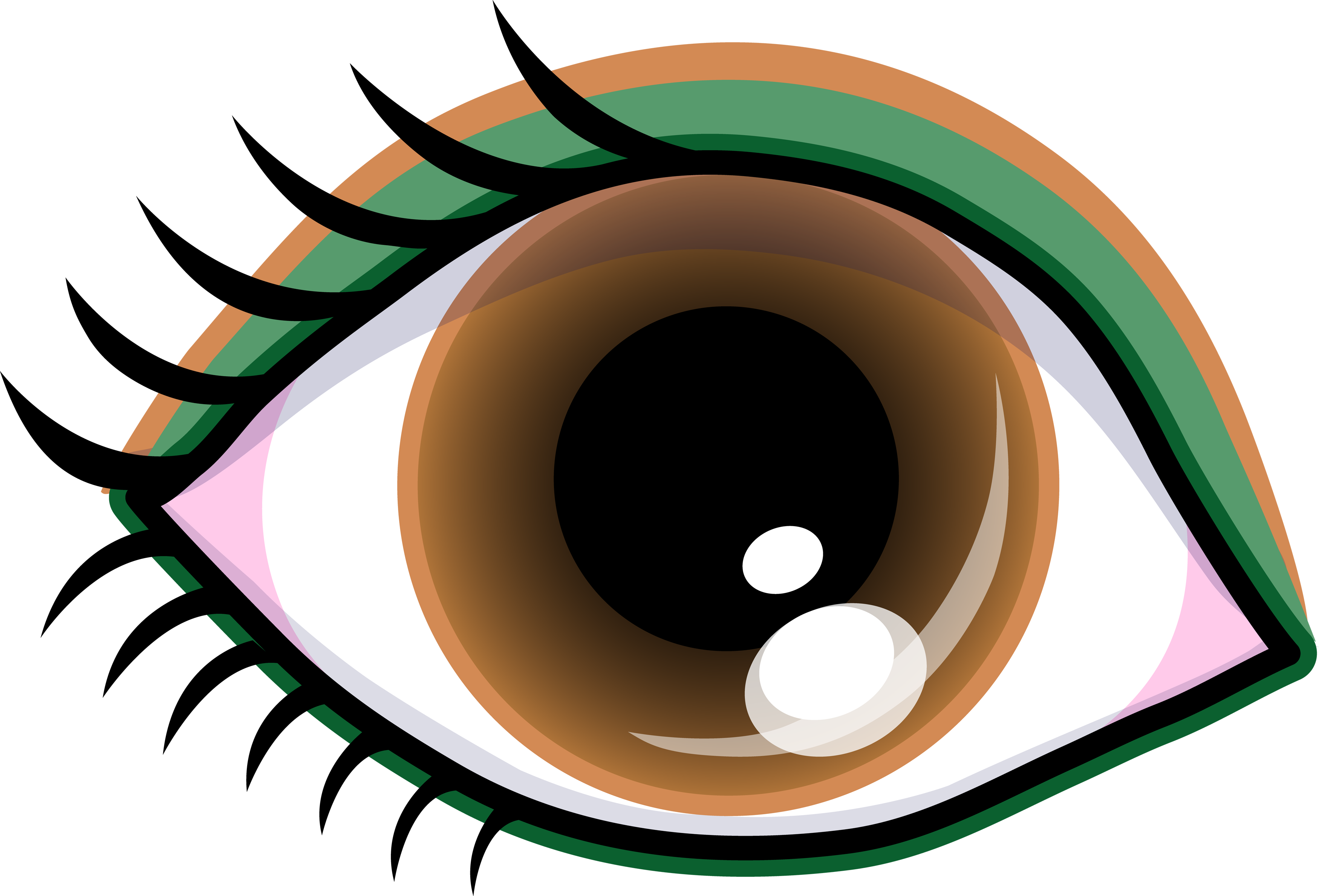 Free Brown Eye Png Download Free Brown Eye Png Png Images Free Cliparts On Clipart Library