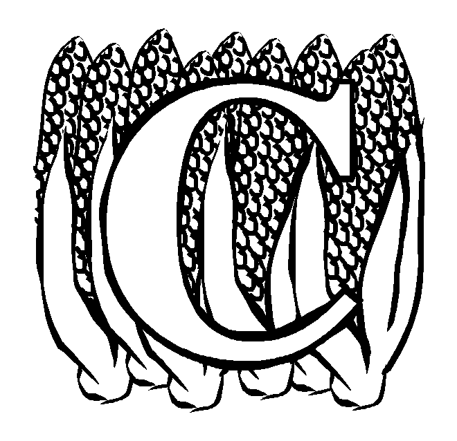 Corn Coloring Pages For Pre K