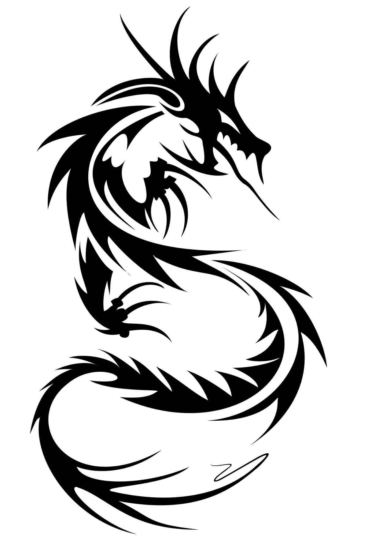 Dragon Graphics - Clipart library