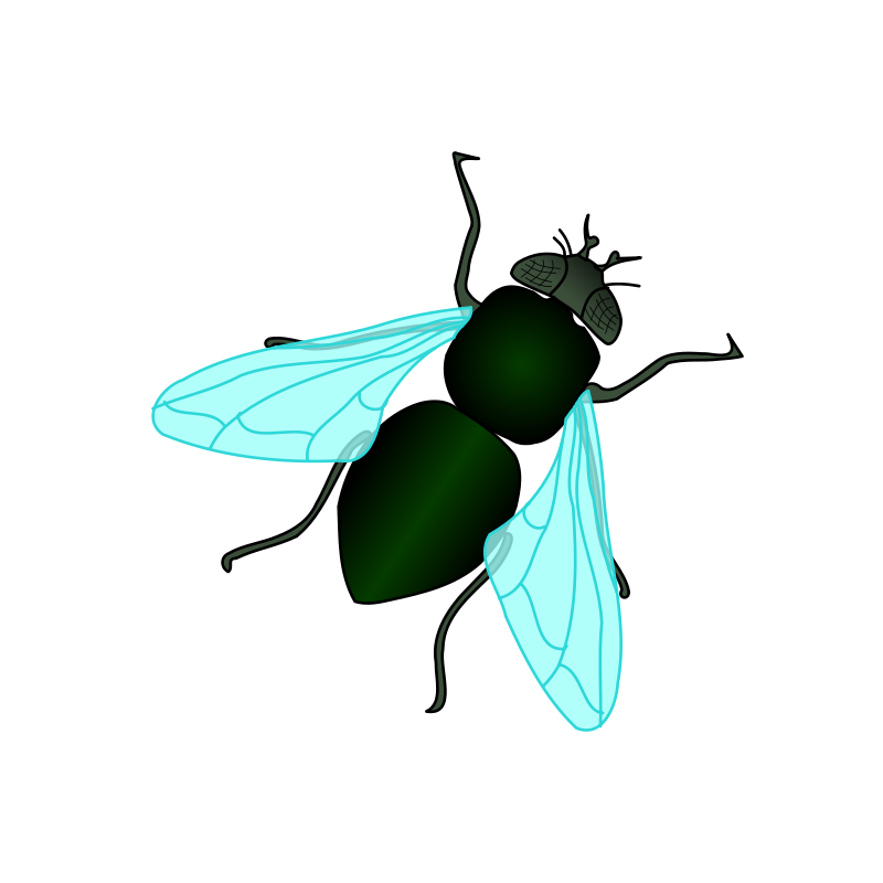Green House Fly Free Vector 