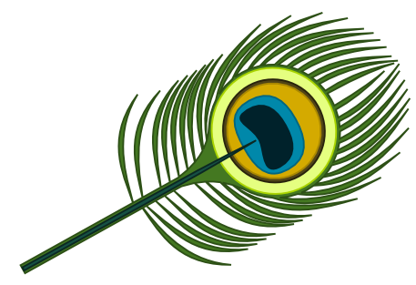peacock feather drawing simple - Clip Art Library